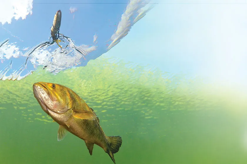 Troubleshooting Common Problems for jig fishing