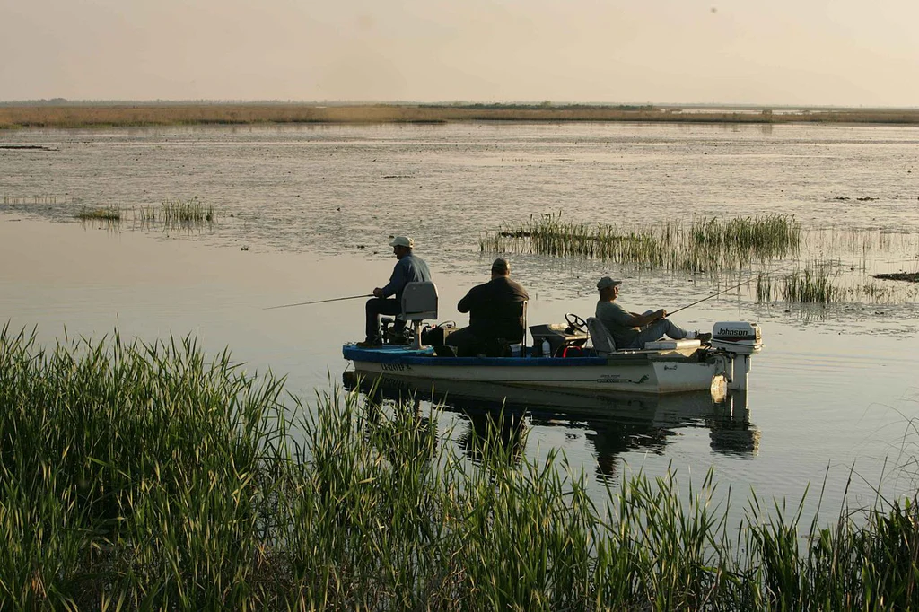 post-The Ultimate Guide to Late Summer Bass Fishing (Strategies, Lures & Pro Tips)