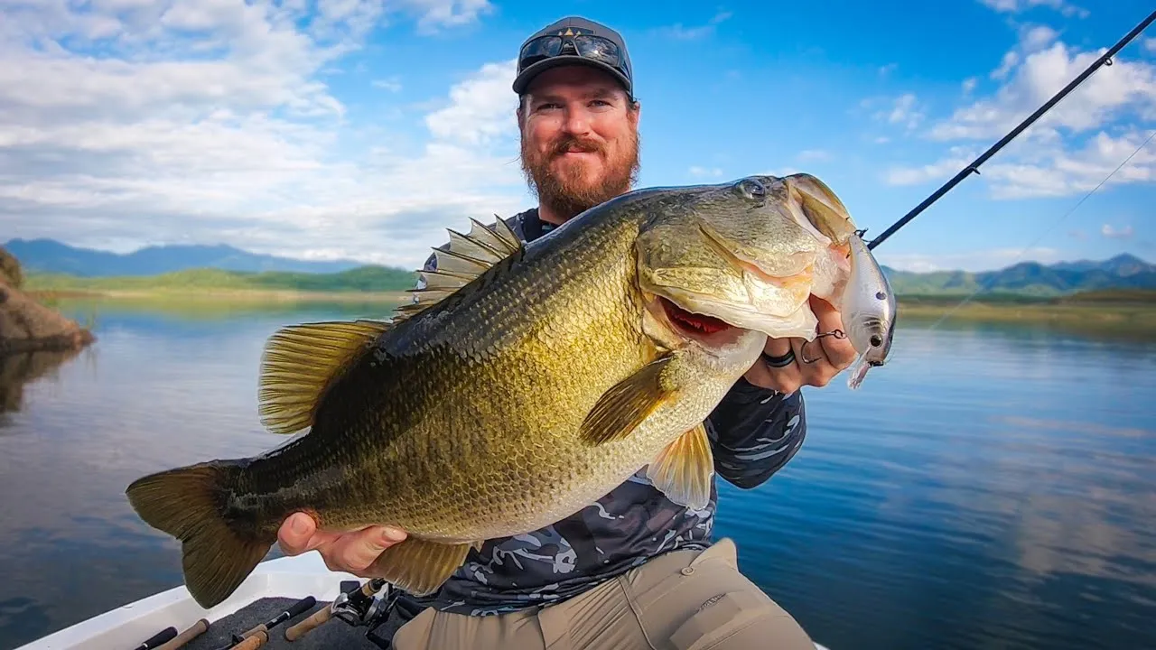 Main Lake where to find bass in autumn