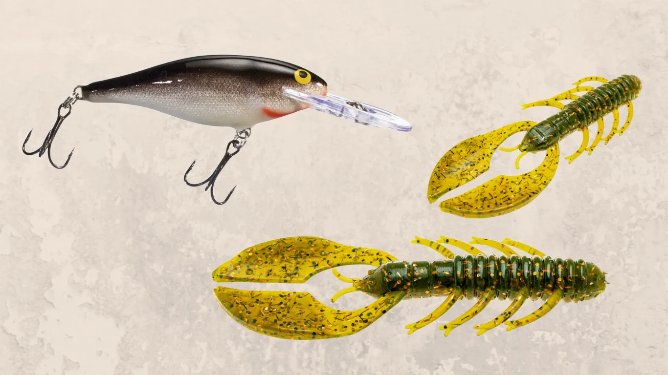 A side-by-side photo of a shad-imitating crankbait and a crawfish-imitating jig