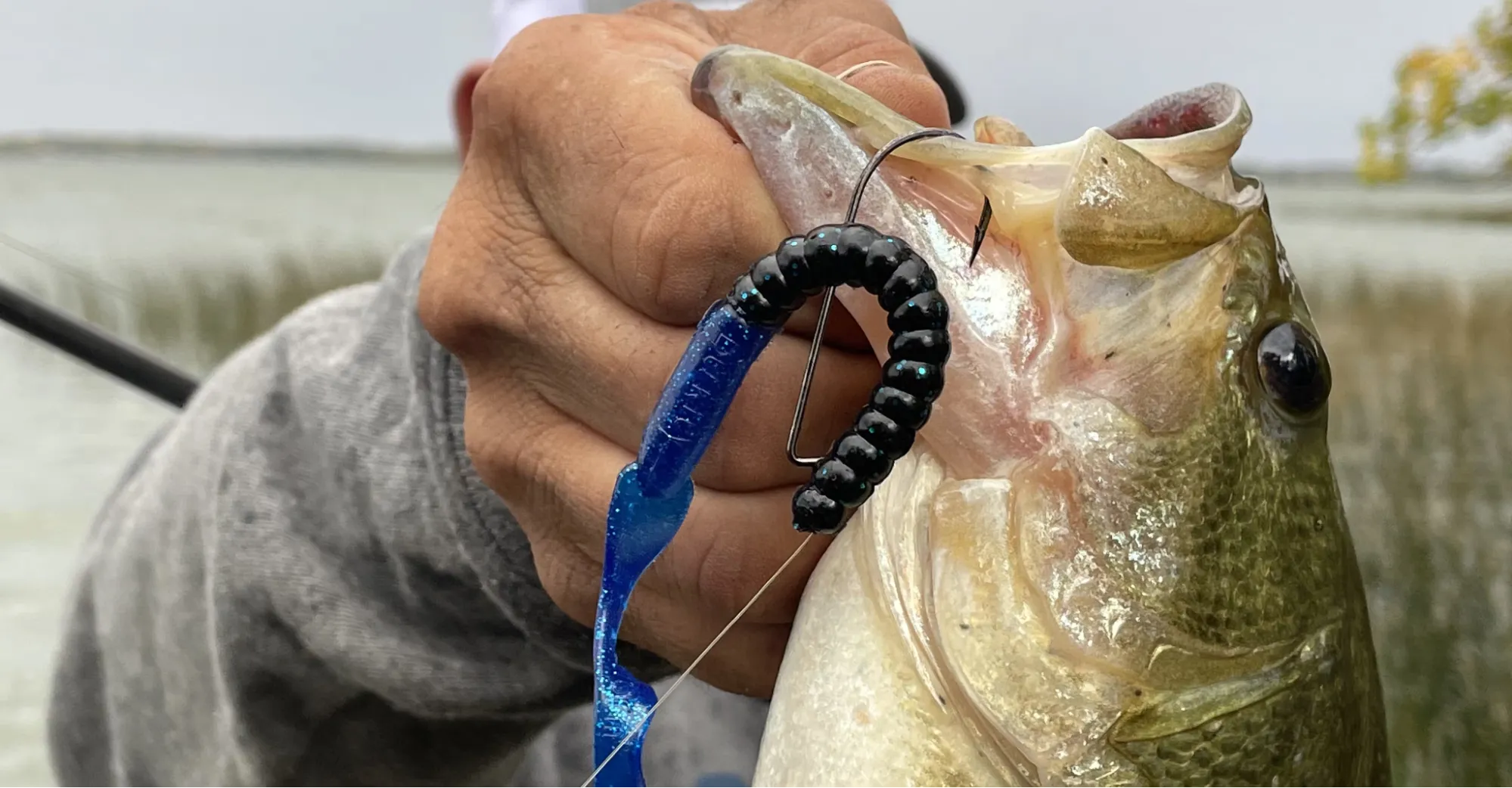 Pro Tactics: How to Fish Your Texas Rig