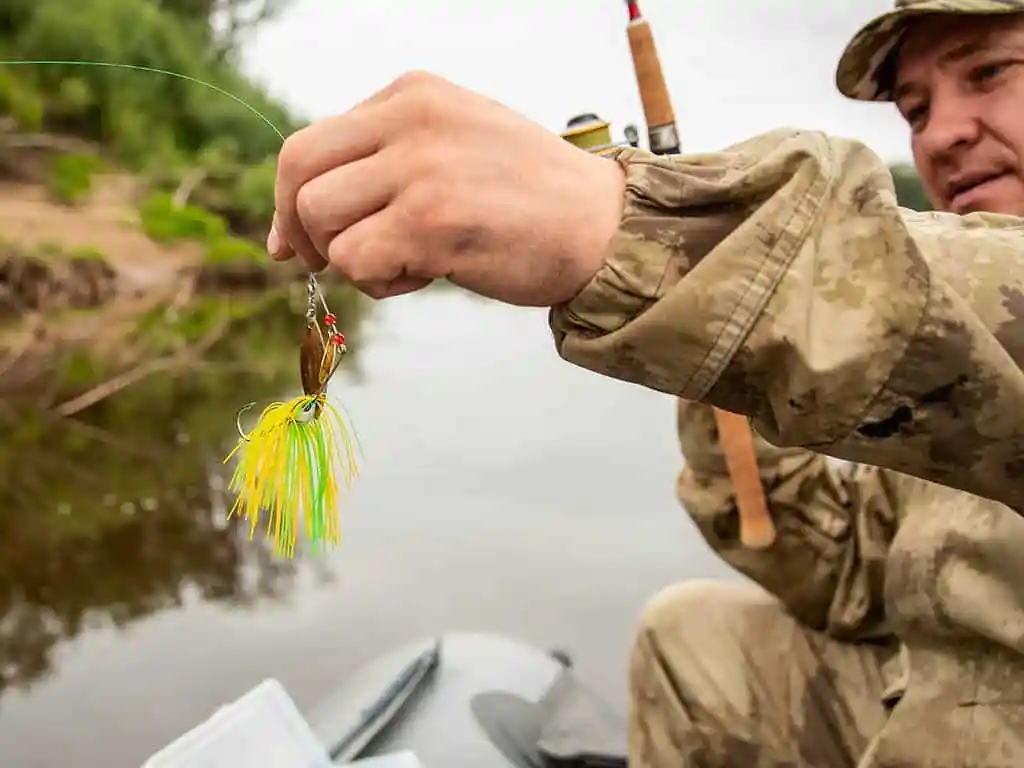 The Spinnerbait for early fall bass fishing