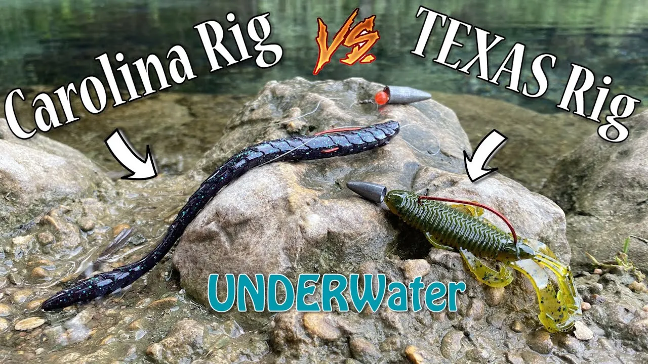 post-Carolina Rig vs Texas Rig: What Every Bass Angler Should Know