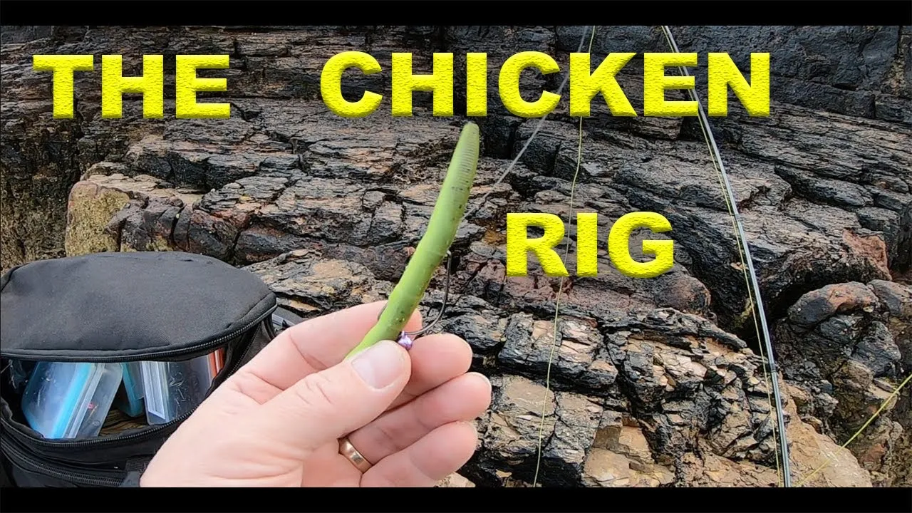post-The Chicken Rig for Bass: Your Ultimate Guide (2025)