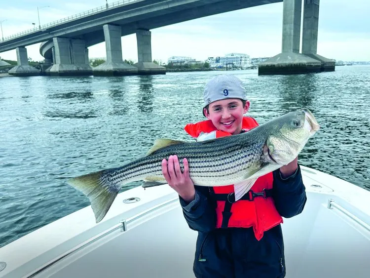 Man-Made Cover (Docks & Bridges) best place for fall bass fishing