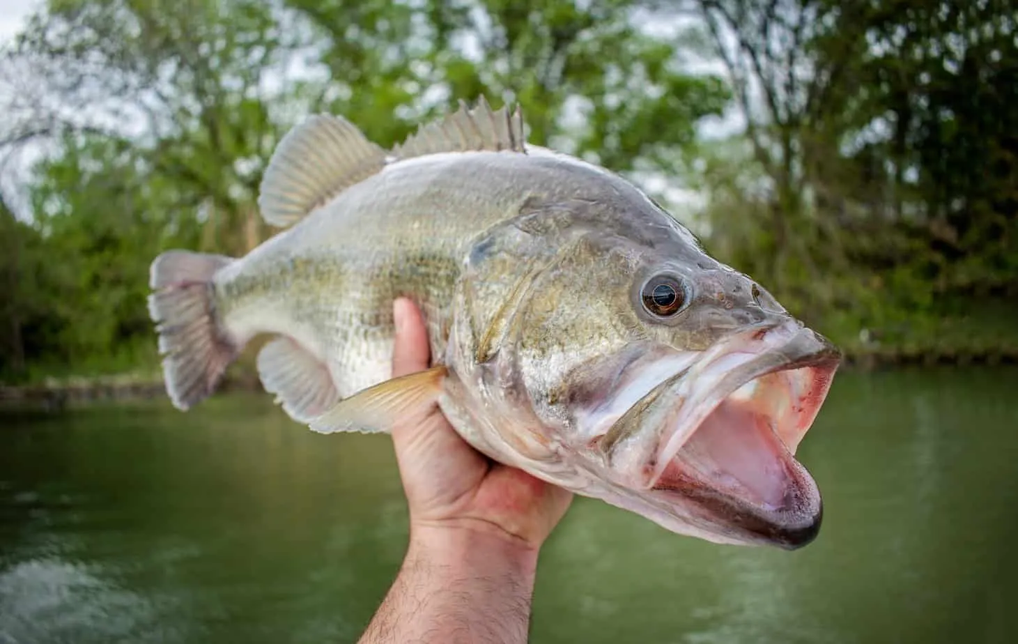 Why Structure is the Key That Unlocks Fall Bass Fishing