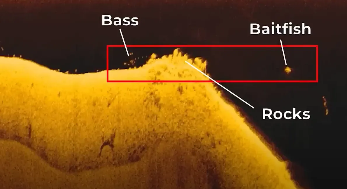 A sonar screen with Down Imaging clearly showing a school of white bass suspended over a rock pile.