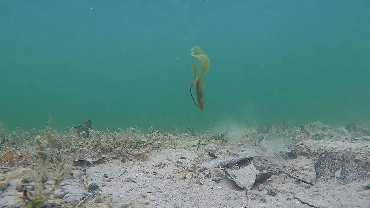 Free Rig underwater