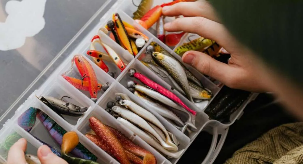 when to fish by the chicken rig