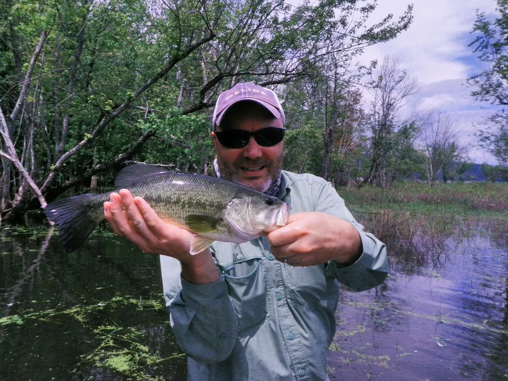 Finding the Strike Zone: Where Bass Live