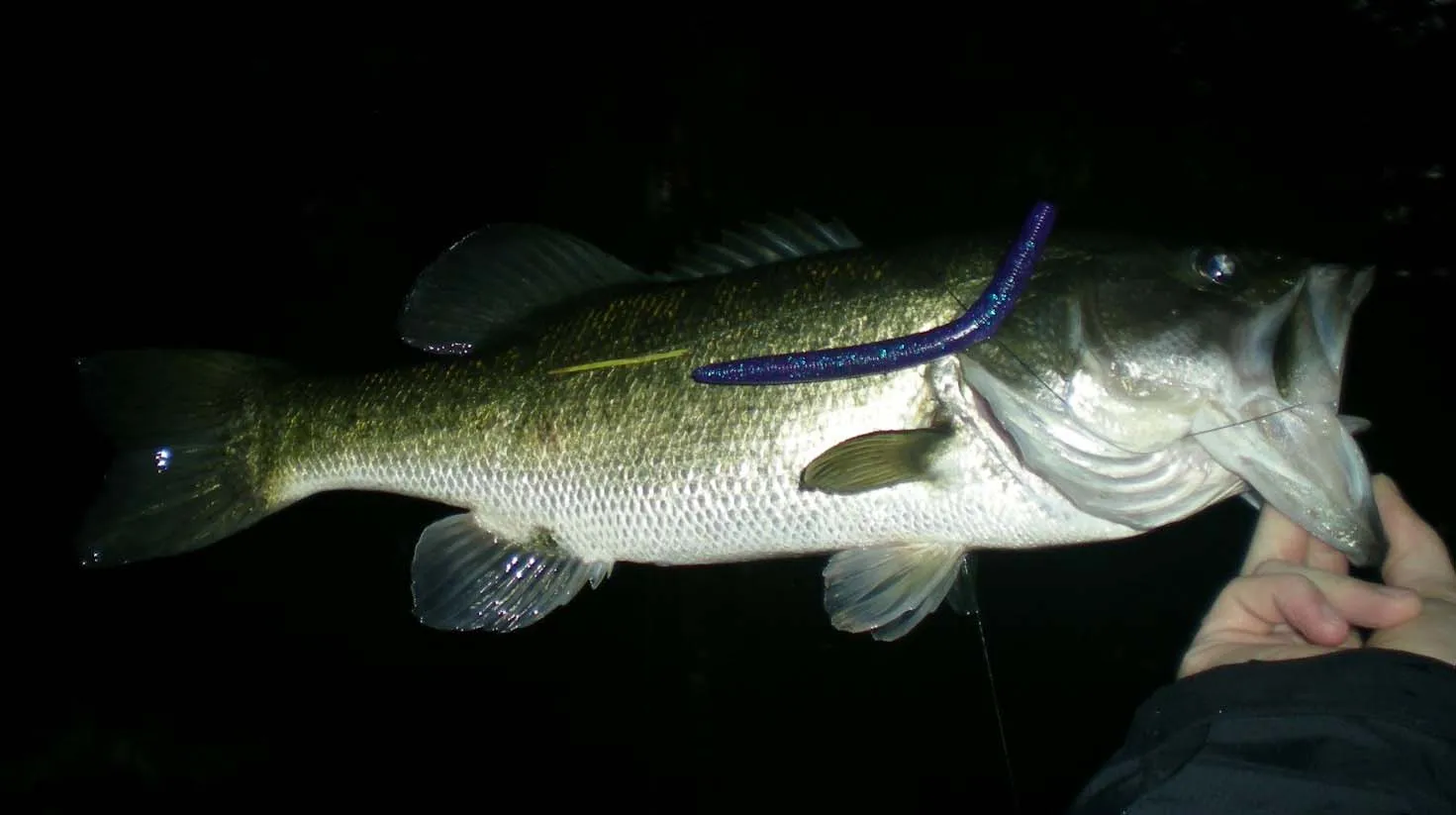 Why Bass Fishing at Night is Worth It