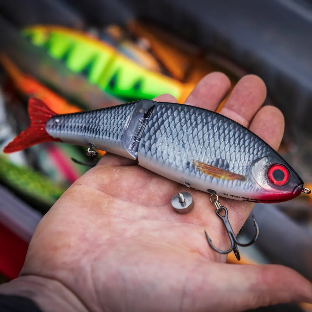 Rapala Shadow Rap best winter bass fishing lures